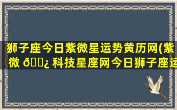 狮子座今日紫微星运势黄历网(紫微 🌿 科技星座网今日狮子座运势)